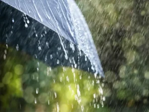¿Qué hacer cuando llueve? · Red Dopamine