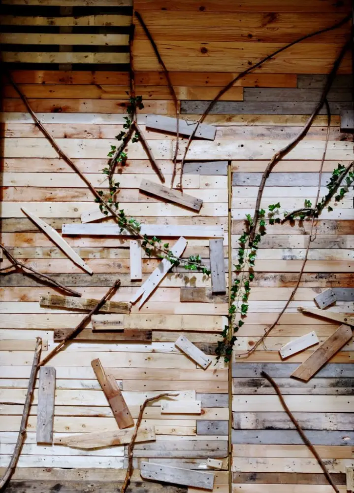 Wooden door with ivy
