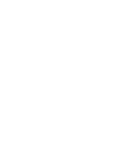 Logo de Consorci per a la Normalització Lingüística